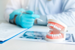 A model set of teeth sitting on a dentist’s desk